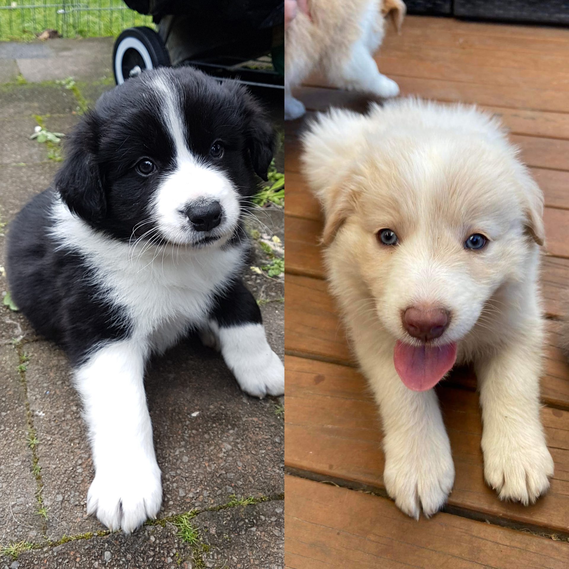 Young Colin + Banana